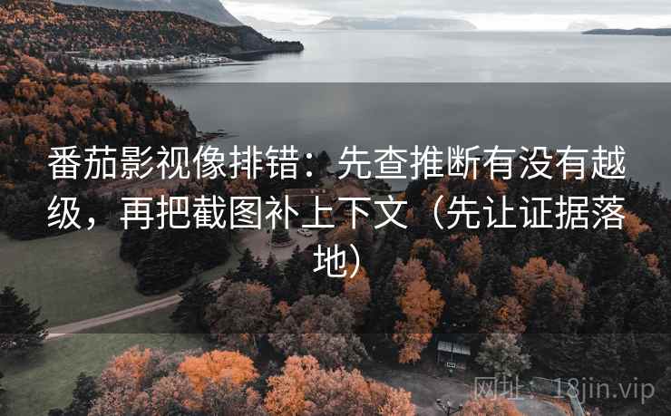 番茄影视像排错：先查推断有没有越级，再把截图补上下文（先让证据落地）