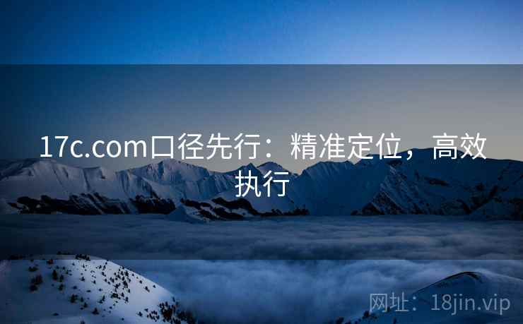 17c.com口径先行：精准定位，高效执行  第2张