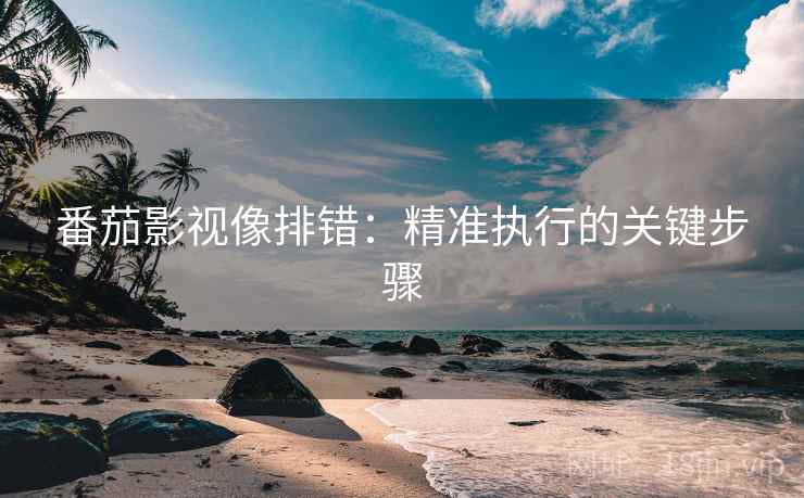 番茄影视像排错：精准执行的关键步骤
