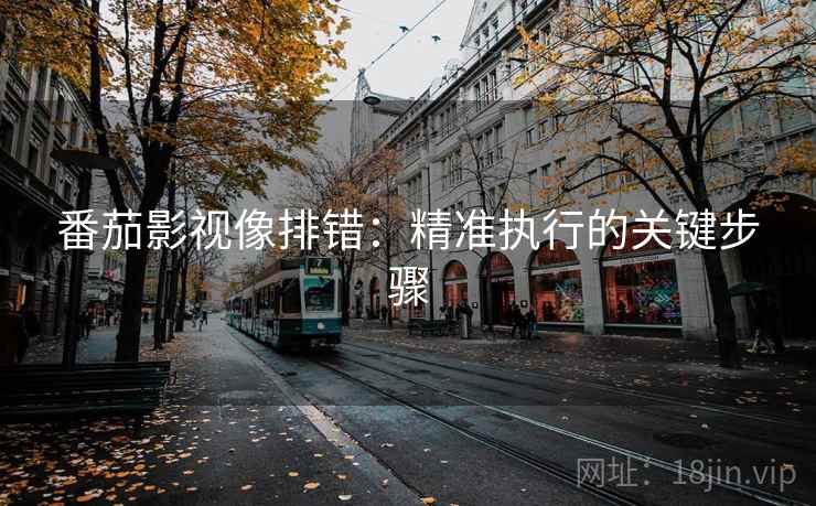 番茄影视像排错:精准执行的关键步骤